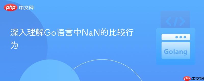 深入理解Go语言中NaN的比较行为