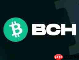 比特币现金币bch能否达到10000美元 - 创想鸟