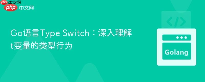 Go语言Type Switch：深入理解t变量的类型行为