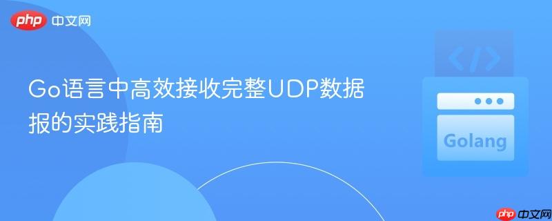 Go语言中高效接收完整UDP数据报的实践指南
