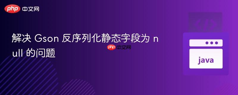 解决 Gson 反序列化静态字段为 null 的问题