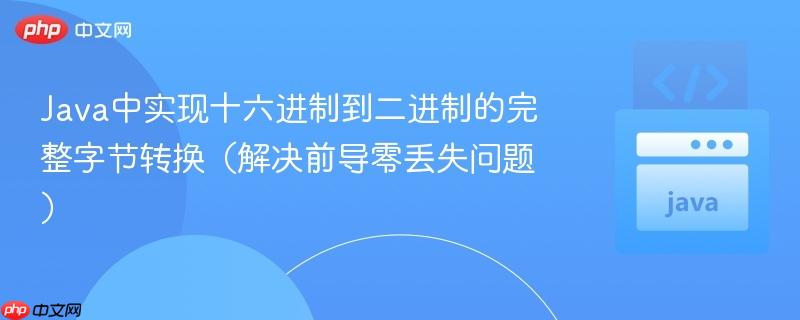 Java中实现十六进制到二进制的完整字节转换（解决前导零丢失问题）