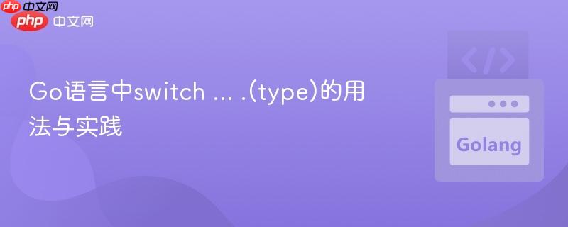 Go语言中switch … .(type)的用法与实践