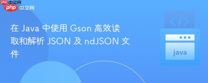 在 Java 中使用 Gson 高效读取和解析 JSON 及 ndJSON 文件
