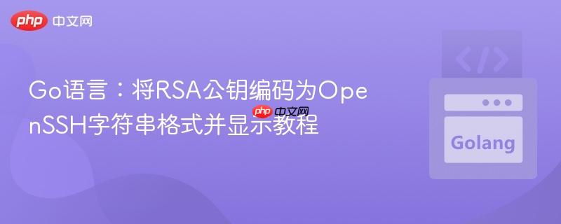 Go语言：将RSA公钥编码为OpenSSH字符串格式并显示教程