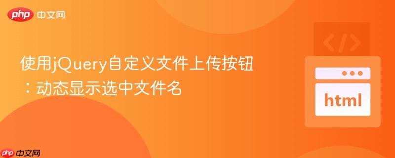 使用jQuery自定义文件上传按钮：动态显示选中文件名