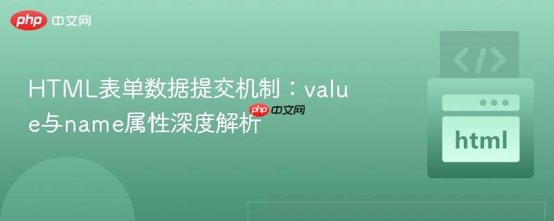 HTML表单数据提交机制：value与name属性深度解析