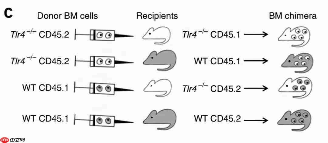 肠子决定脑子，魔性or科学？