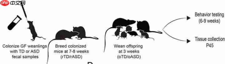 肠子决定脑子，魔性or科学？