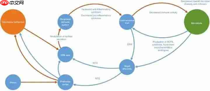 肠子决定脑子，魔性or科学？
