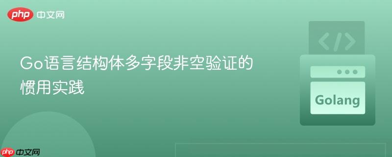 Go语言结构体多字段非空验证的惯用实践