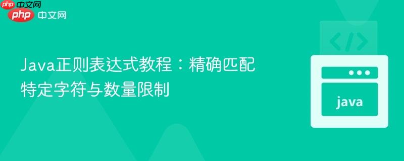 Java正则表达式教程：精确匹配特定字符与数量限制