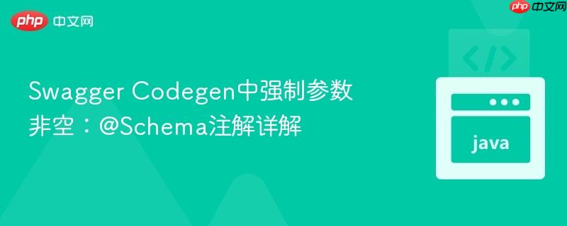 Swagger Codegen中强制参数非空：@Schema注解详解