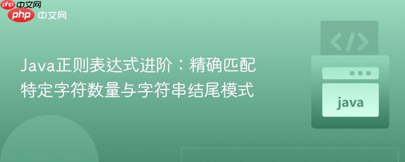 Java正则表达式进阶：精确匹配特定字符数量与字符串结尾模式