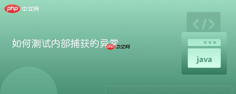 如何测试内部捕获的异常