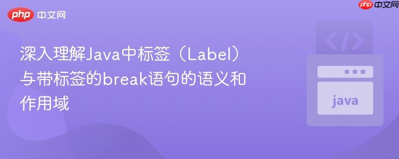 深入理解Java中标签（Label）与带标签的break语句的语义和作用域