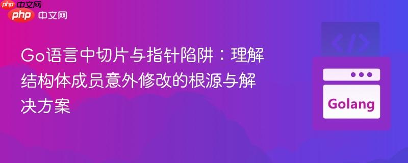 Go语言中切片与指针陷阱：理解结构体成员意外修改的根源与解决方案