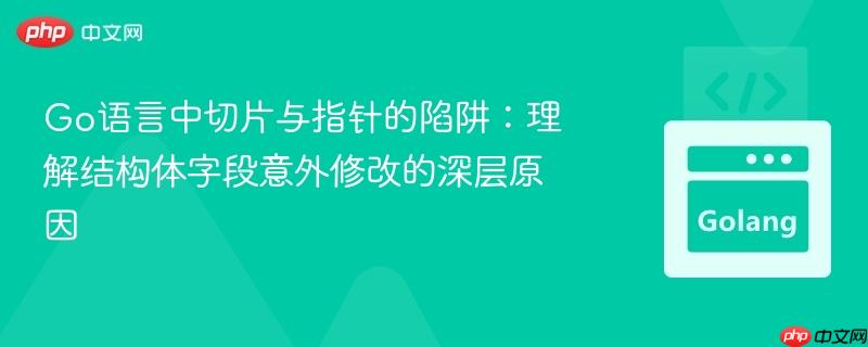 Go语言中切片与指针的陷阱：理解结构体字段意外修改的深层原因