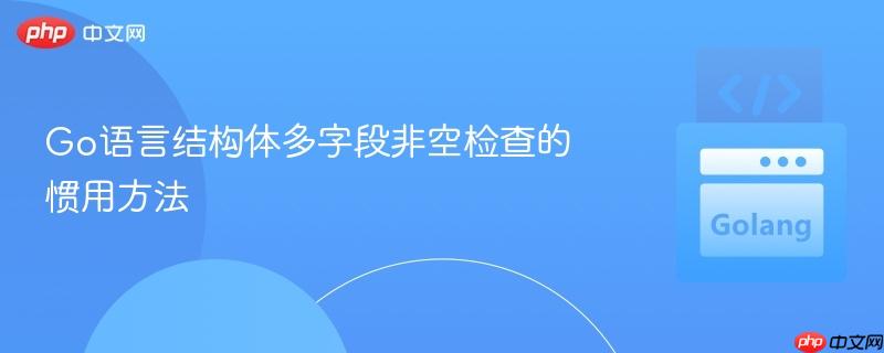 Go语言结构体多字段非空检查的惯用方法