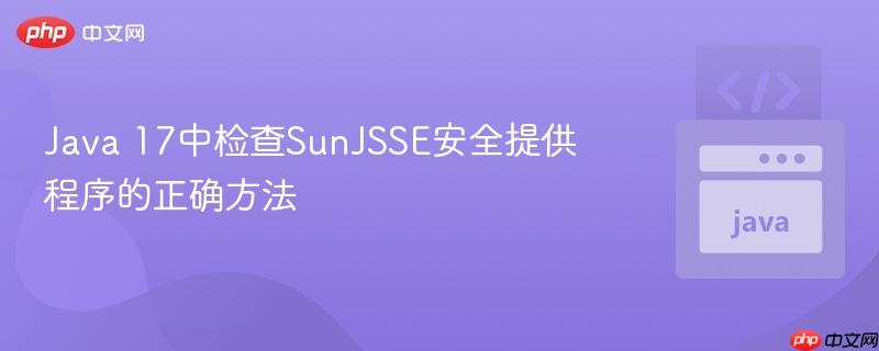 Java 17中检查SunJSSE安全提供程序的正确方法
