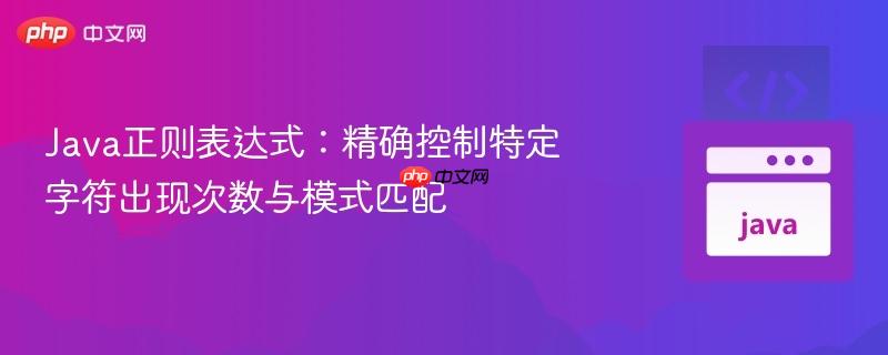 Java正则表达式：精确控制特定字符出现次数与模式匹配