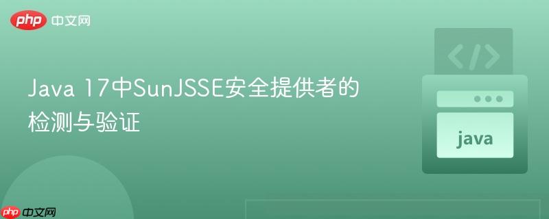 Java 17中SunJSSE安全提供者的检测与验证