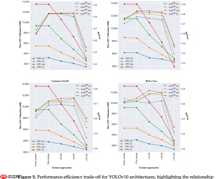 YOLO架构中层冻结策略对迁移学习的增强作用分析