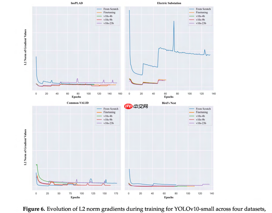 YOLO架构中层冻结策略对迁移学习的增强作用分析