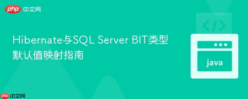 Hibernate与SQL Server BIT类型默认值映射指南