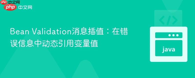 Bean Validation消息插值：在错误信息中动态引用变量值