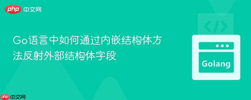Go语言中如何通过内嵌结构体方法反射外部结构体字段