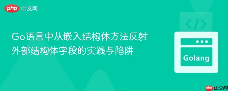 Go语言中从嵌入结构体方法反射外部结构体字段的实践与陷阱