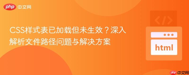 CSS样式表已加载但未生效？深入解析文件路径问题与解决方案