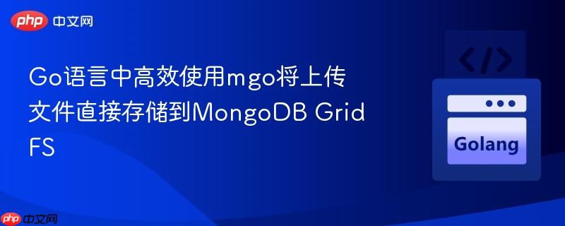 Go语言中高效使用mgo将上传文件直接存储到MongoDB GridFS
