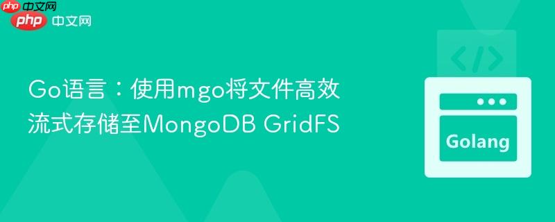 Go语言：使用mgo将文件高效流式存储至MongoDB GridFS
