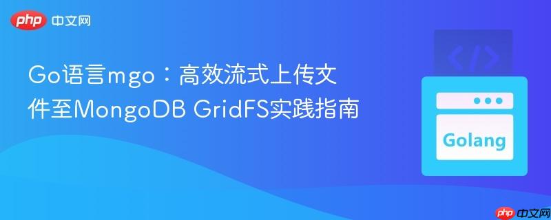 Go语言mgo：高效流式上传文件至MongoDB GridFS实践指南