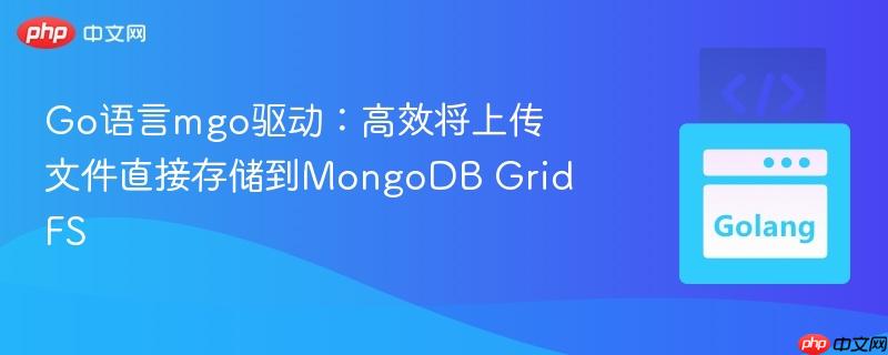 Go语言mgo驱动：高效将上传文件直接存储到MongoDB GridFS