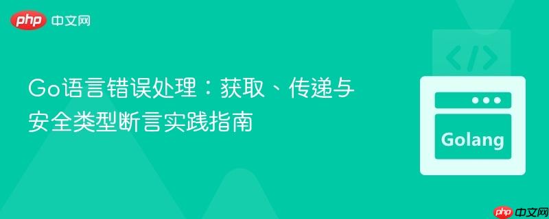 Go语言错误处理：获取、传递与安全类型断言实践指南