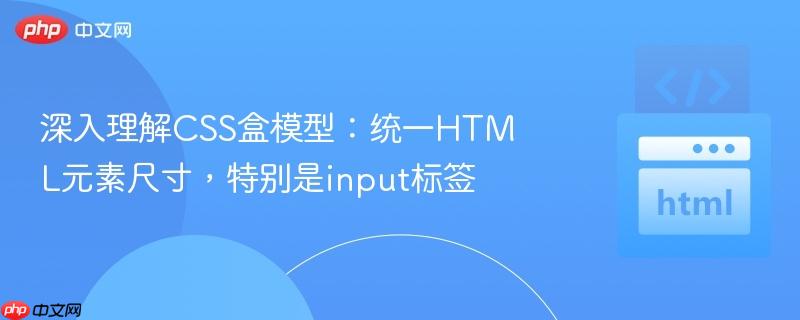 深入理解CSS盒模型：统一HTML元素尺寸，特别是input标签