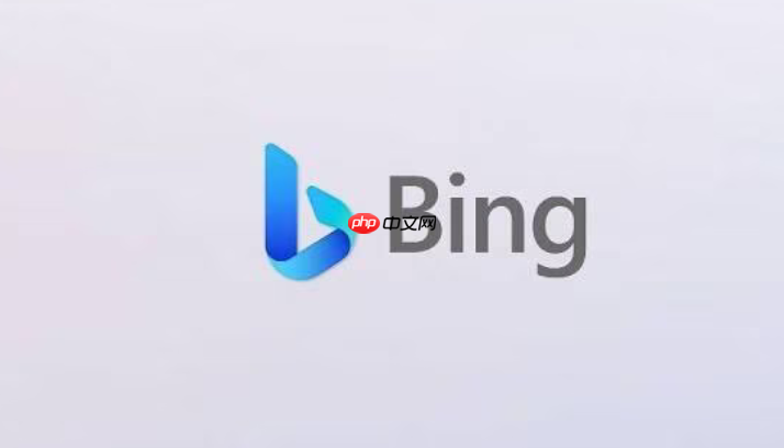 2026Bing搜索指南 Bing搜索引擎免登录地址