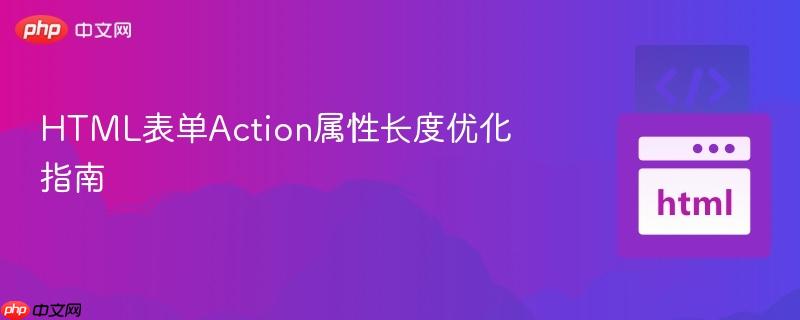 HTML表单Action属性长度优化指南