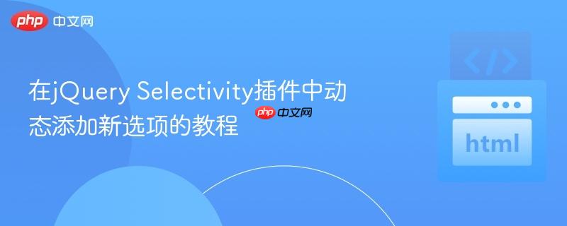 在jQuery Selectivity插件中动态添加新选项的教程