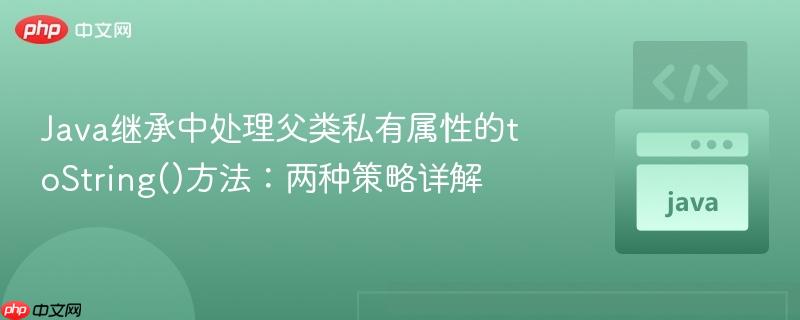 Java继承中处理父类私有属性的toString()方法：两种策略详解