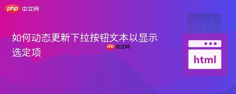 如何动态更新下拉按钮文本以显示选定项