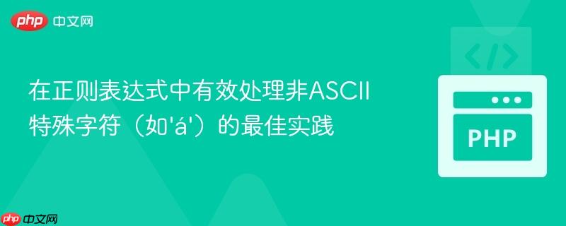 在正则表达式中有效处理非ASCII特殊字符（如‘á’）的最佳实践