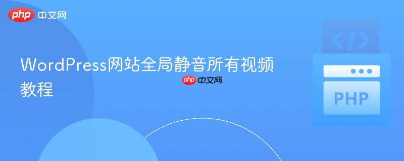 WordPress网站全局静音所有视频教程
