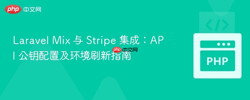 Laravel Mix 与 Stripe 集成：API 公钥配置及环境刷新指南