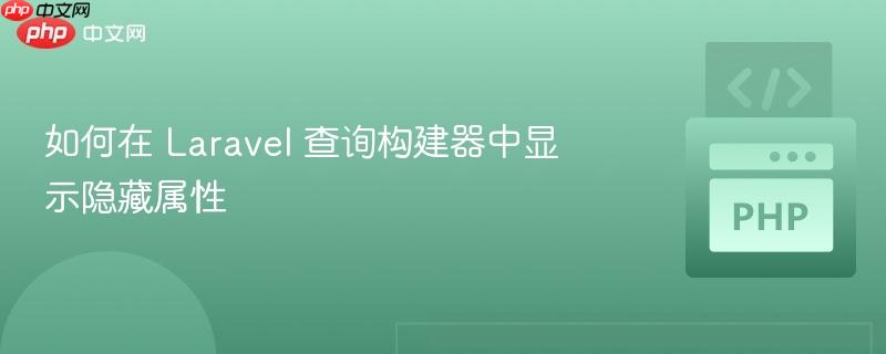 如何在 Laravel 查询构建器中显示隐藏属性