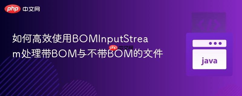 如何高效使用BOMInputStream处理带BOM与不带BOM的文件
