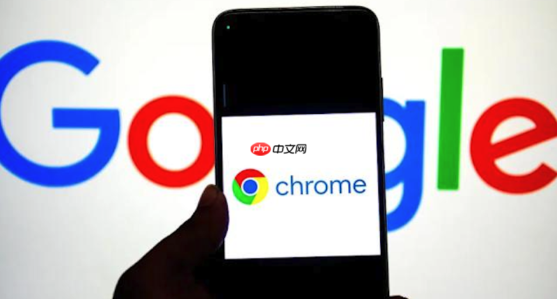 谷歌浏览器无法下载大文件怎么办 google chrome下载管理设置